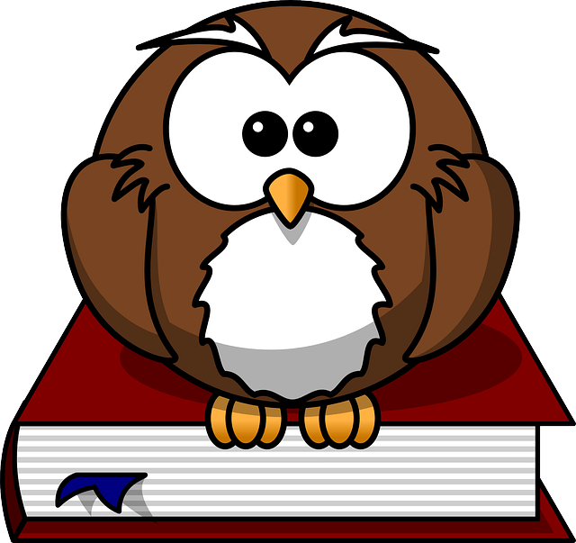 Aplicación del PMBOK a proyectos reales